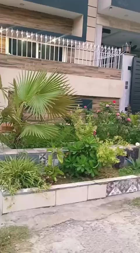 WhatsApp Video 2025-10-30 at 20.42.22_7a176926 – frame at 0m0s (convert.io)