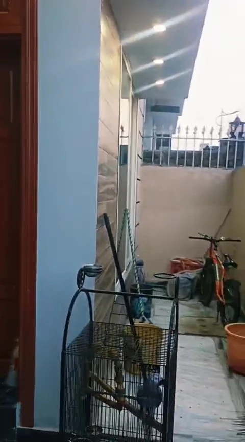 WhatsApp Video 2025-10-30 at 20.42.22_7a176926 – frame at 0m15s (convert.io)