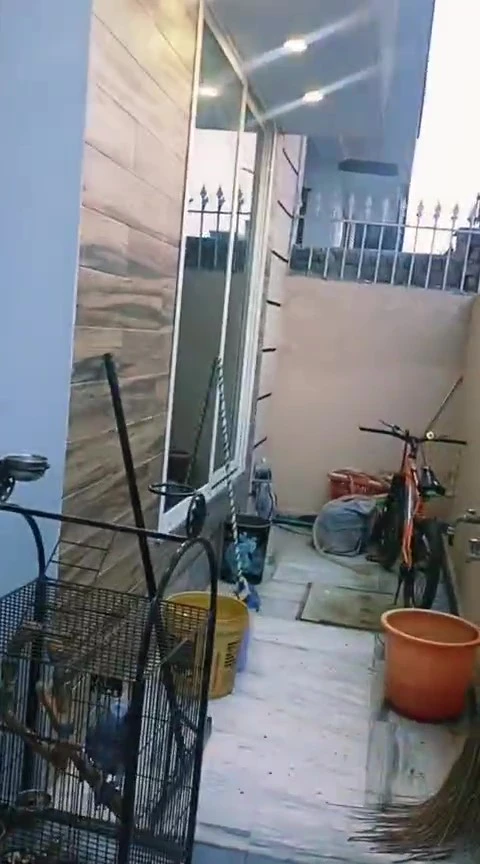 WhatsApp Video 2025-10-30 at 20.42.22_7a176926 – frame at 0m17s (convert.io)