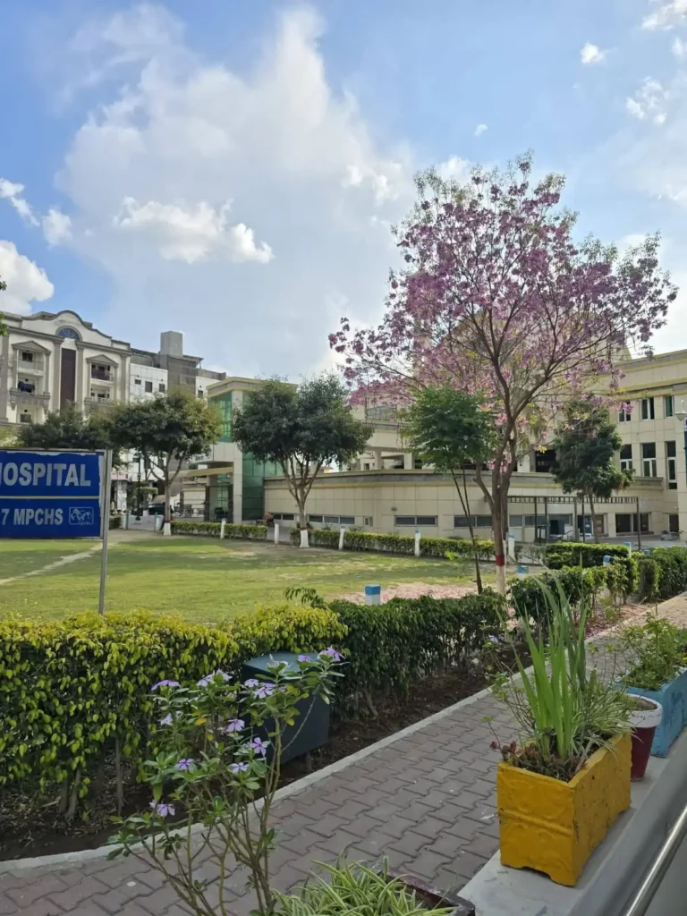 Multi Gardens B-17 Islamabad